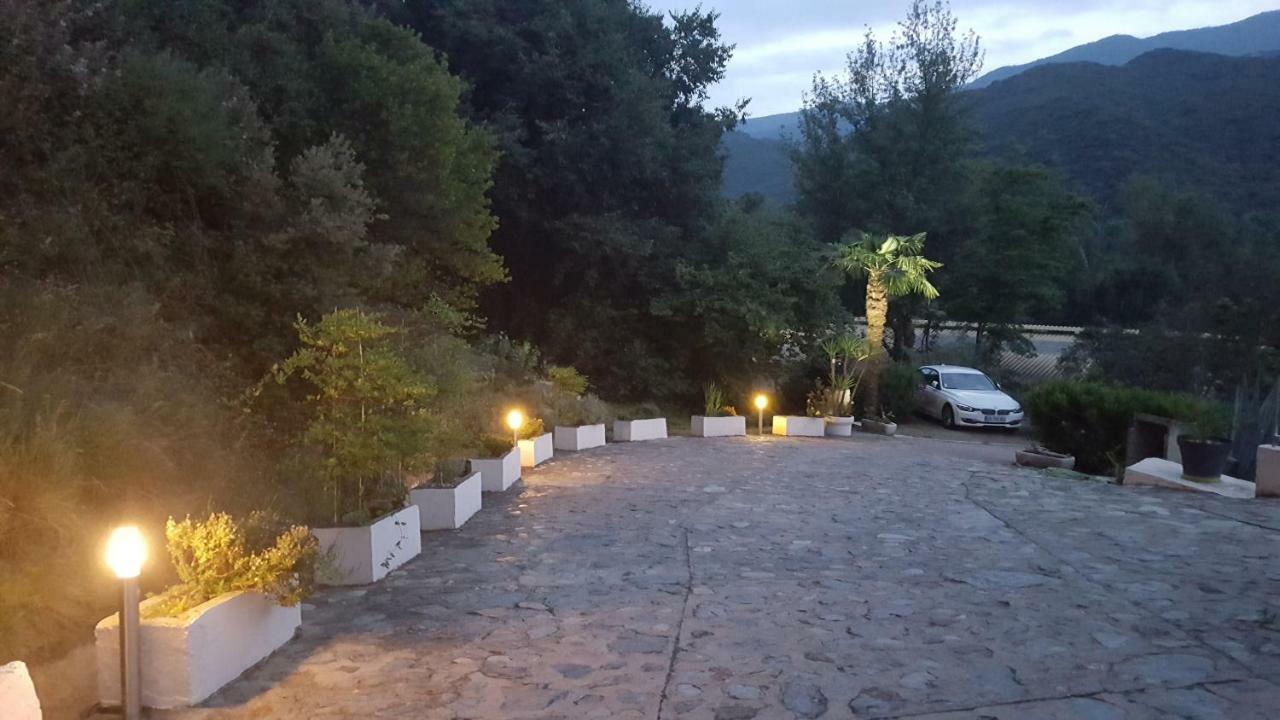 Mas Solar D'En Malcion Βίλα Amélie-les-Bains-Palalda Εξωτερικό φωτογραφία