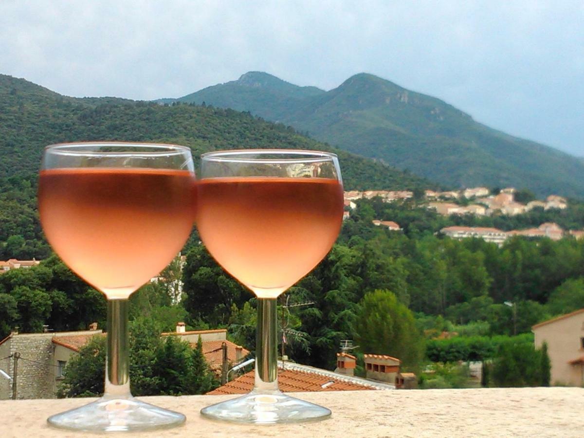 Mas Solar D'En Malcion Βίλα Amélie-les-Bains-Palalda Εξωτερικό φωτογραφία