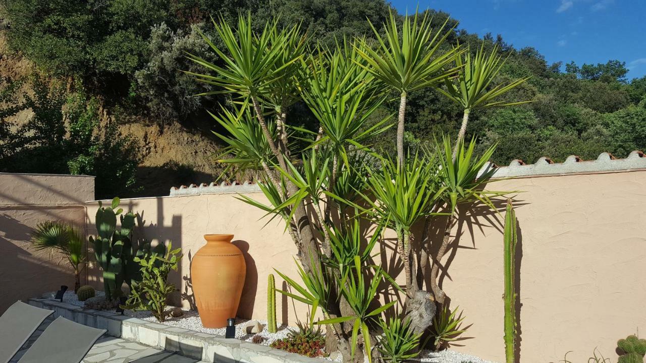 Mas Solar D'En Malcion Βίλα Amélie-les-Bains-Palalda Εξωτερικό φωτογραφία